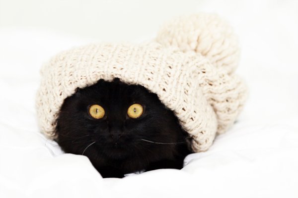 Шапка "кошка"
