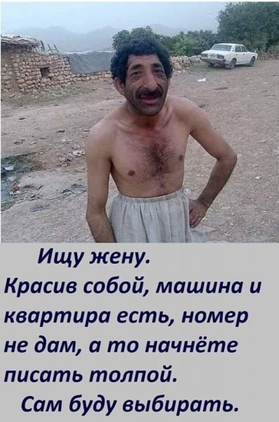 Ильхам Алиев карикатура