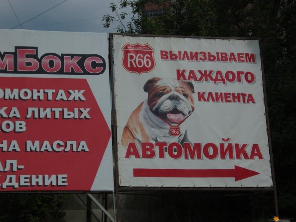 Тьяго Хойзель картины