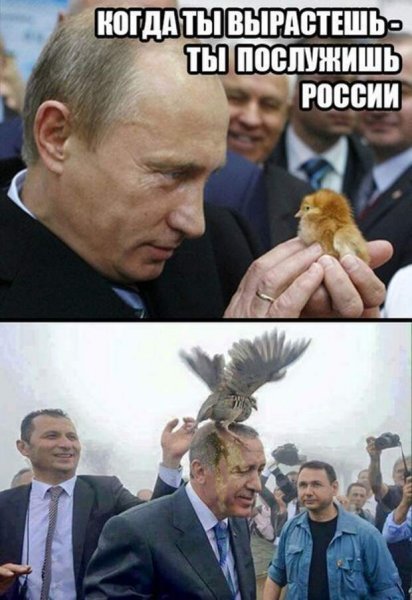 Шутки про Путина
