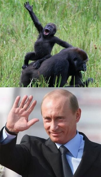 Путин смешной