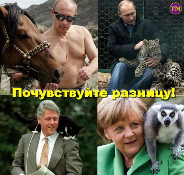 Фотожабы прикольные с надписями
