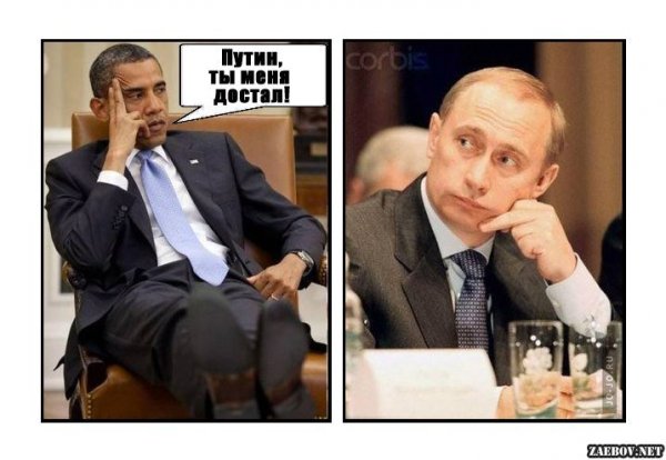 Картинки Путина прикольные