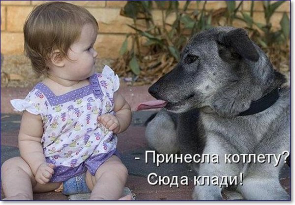Про животных с надписями