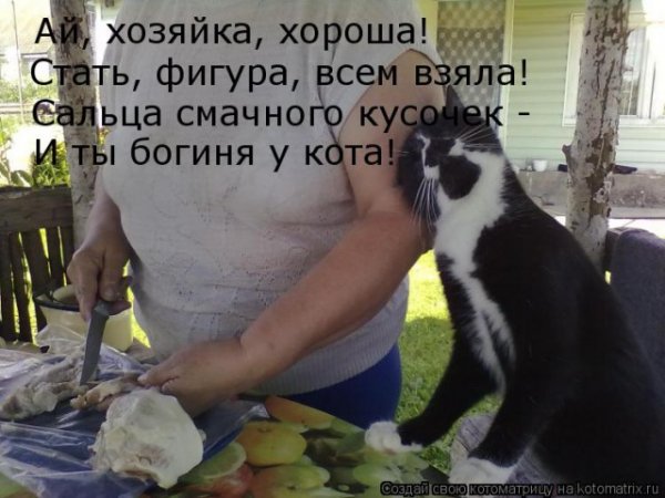 Приколы с надписями про людей и животных
