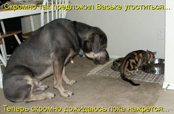 Смешные картинки