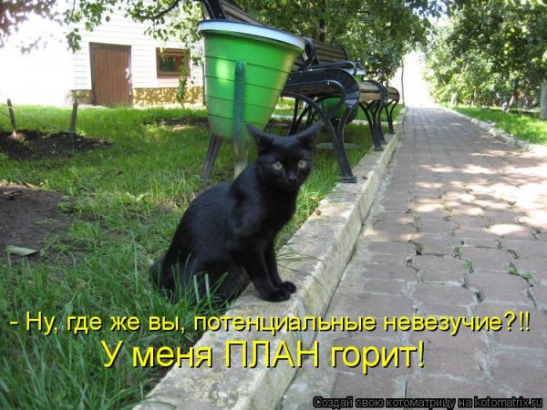 Юмор животные с надписями