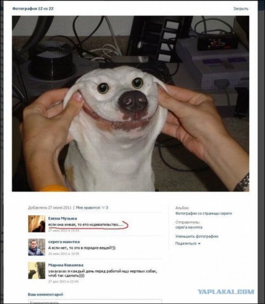 Смешной коммент к фото другу