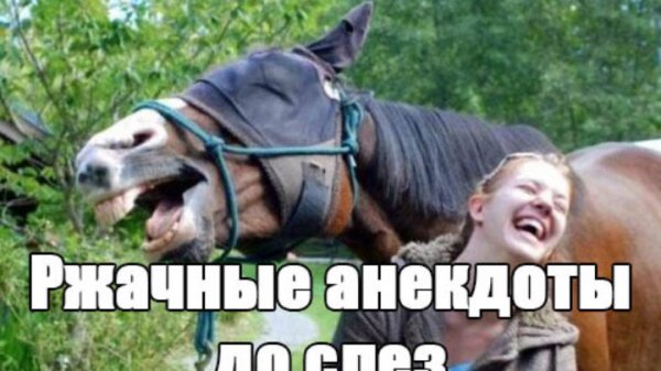 Приколы оборжаться до слез