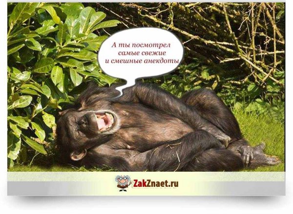 Самый самый самый самый самый смешной анекдот