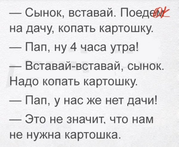 Смешные цитаты до слез