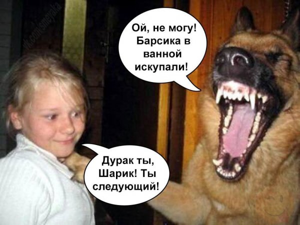 Юмор смех до слез