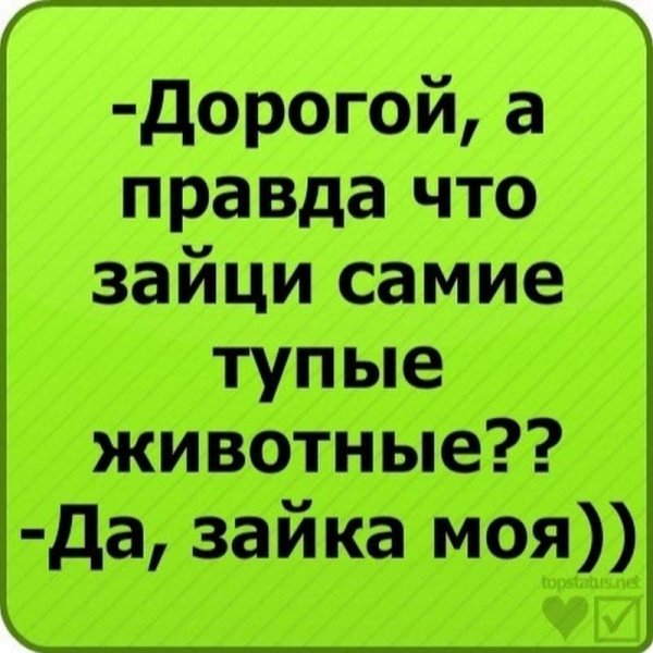 Статусы смешные до слез