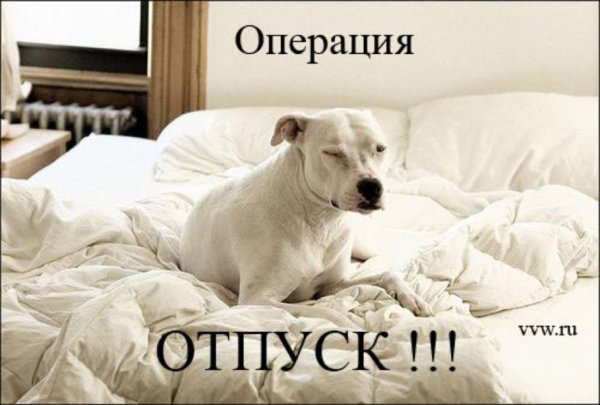 Статус про отпуск прикольные