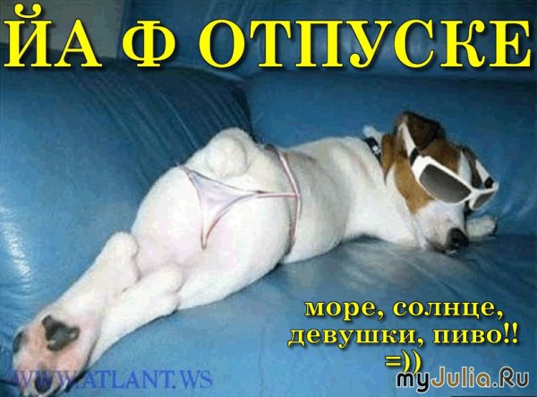 Шутки про начало отпуска
