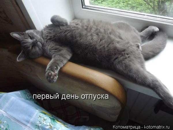 С первым днем отпуска