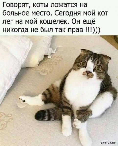 Прикольные картинки с комментариями