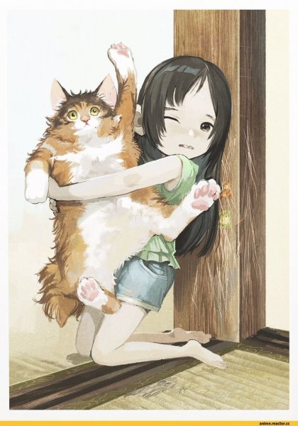 Аниме кот