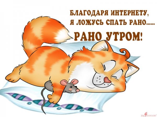Прикольные пожелания спокойной ночи