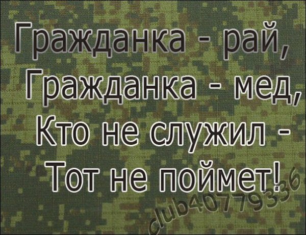 Цитаты про дембель