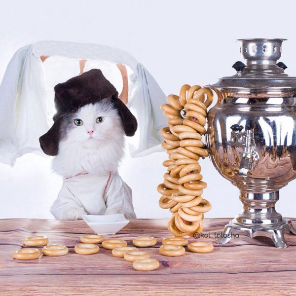 Прикольное чаепитие