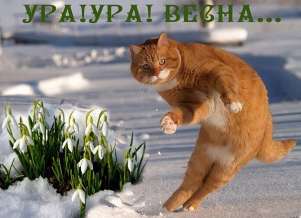 1 Марта Весна