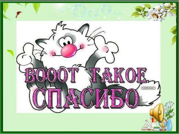 Спасибо брат за поздравления