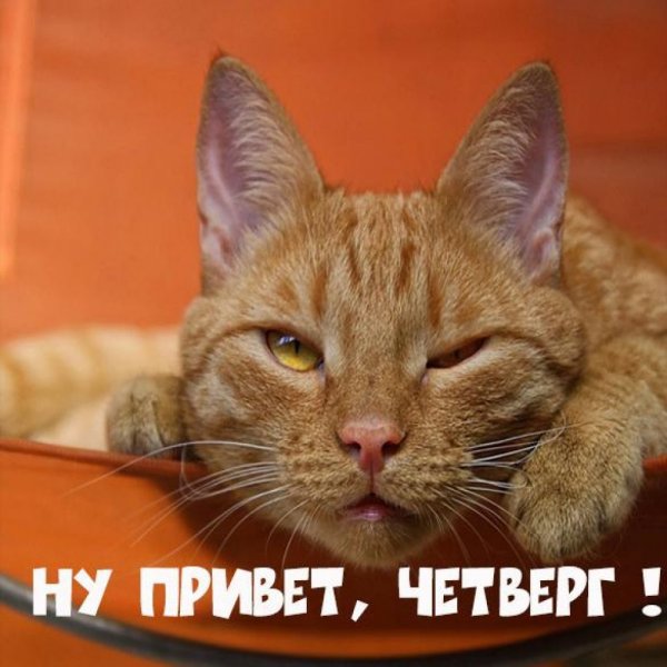 Весёлого четверга картинки