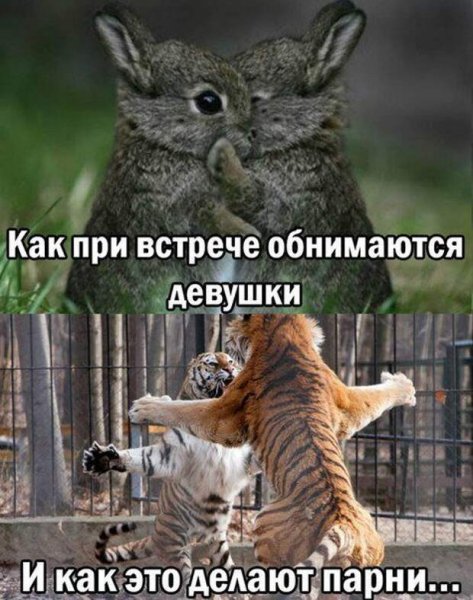 Обнимашки прикольные с надписью