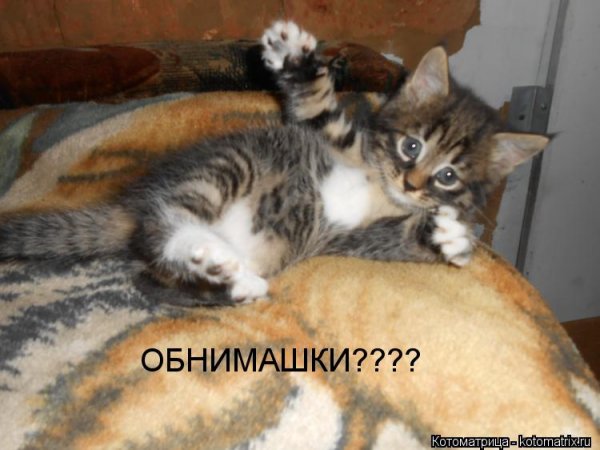 Целовашки обнимашки прикольные