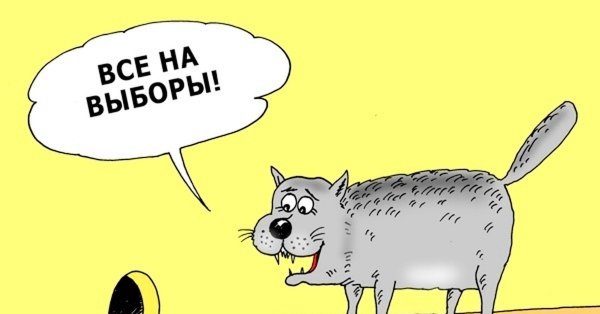 Выборы карикатура