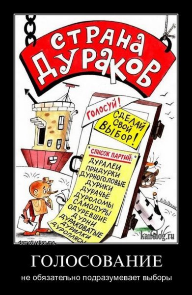 Выборы прикол