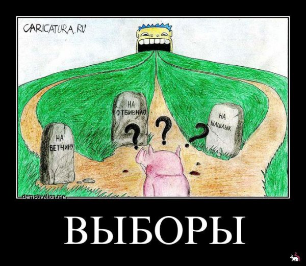 Выборы демотиваторы