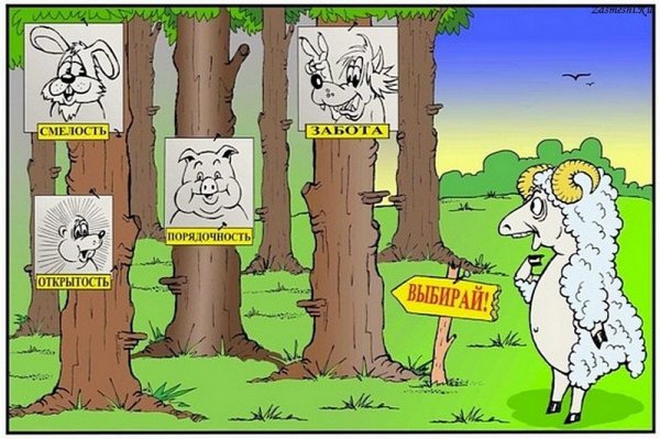 Приколы про выборы картинки