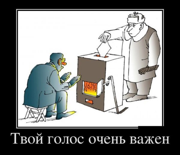 Выборы прикол