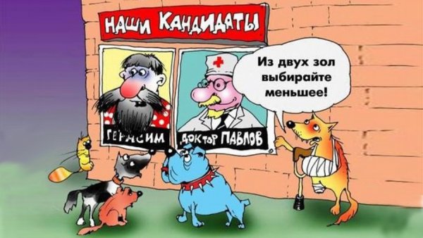 Анекдоты про выборы