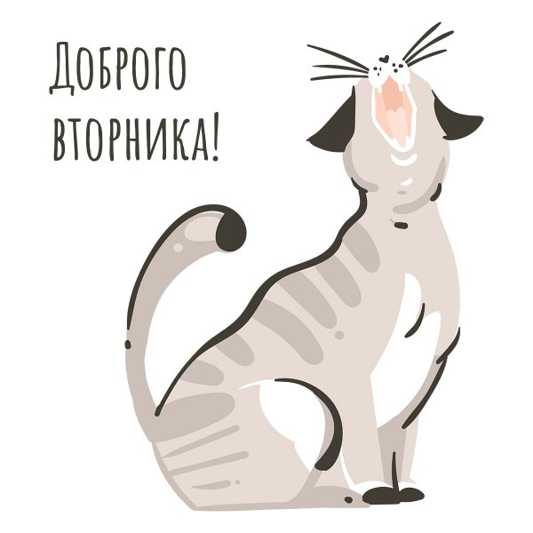 С добрым утром вторника