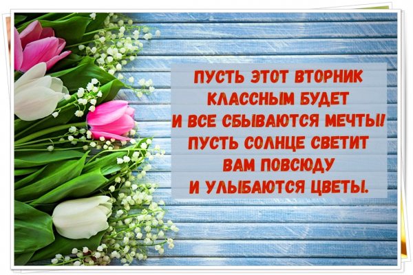 Пожелания на вторник прикольные