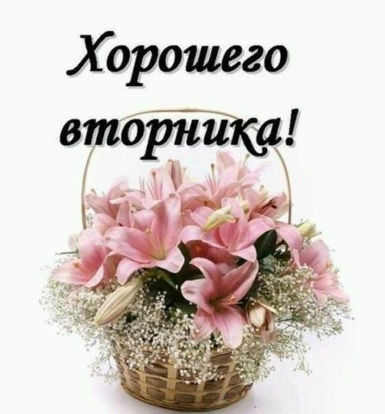 Хорошего вторника