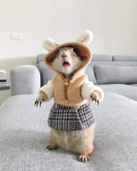 Костюм зверюшки