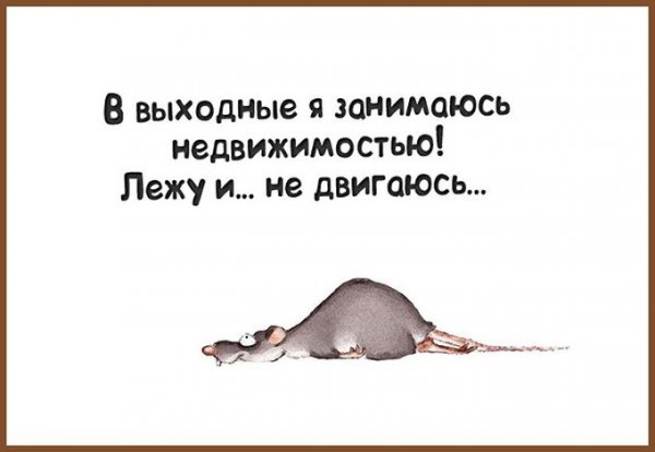 Выходные цитаты смешные