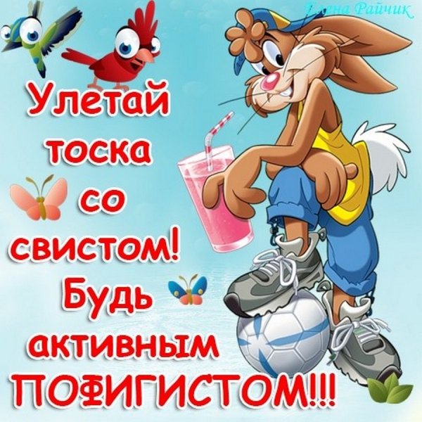 Статусы приколы в картинках