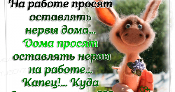 Веселые позитивные статусы