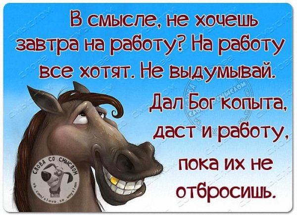 Прикольные статусы для ватсапа