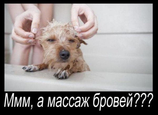Массаж демотиватор