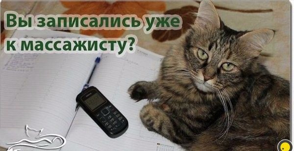 Массаж прикол