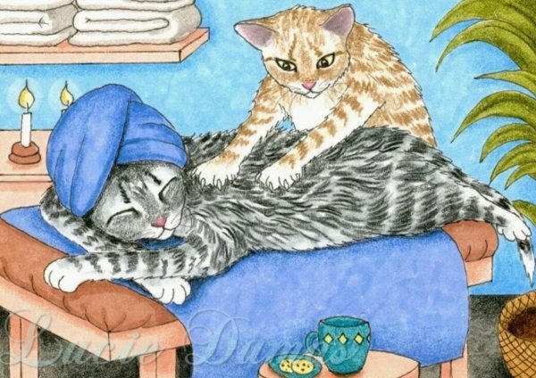 Котик массажист