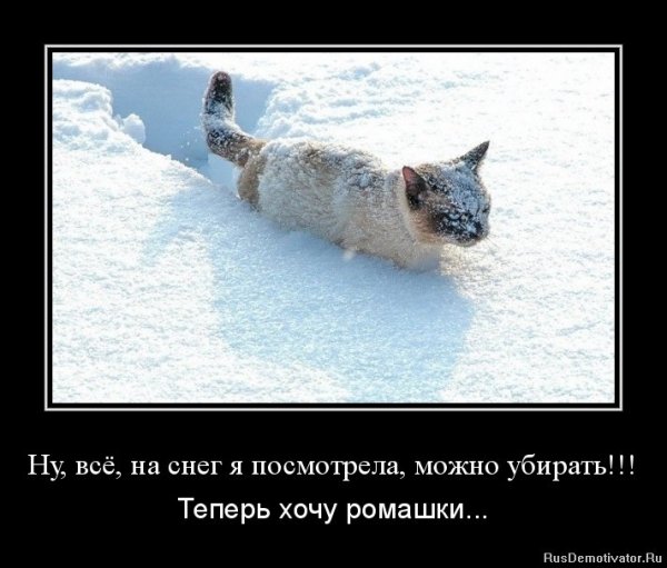 Прикольные демотиваторы