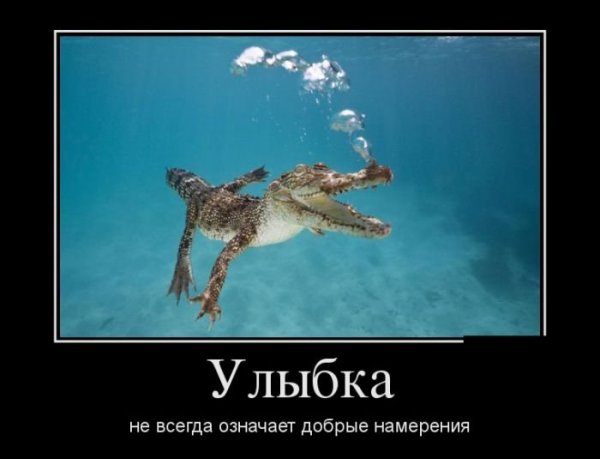 Демотиваторы с надписями девушки