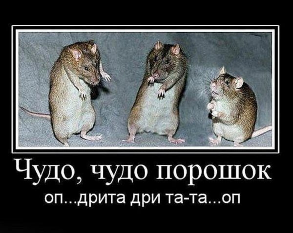 Смешно демотиваторы